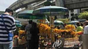 2026��̩����ѧǩ֤����