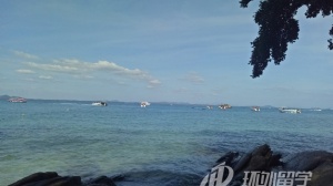 ���ȴ�ѧ��������