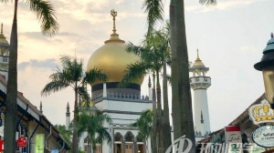 ����������ѧ�о�����������