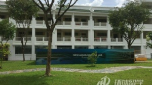 新加坡jcu大学读研条件