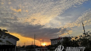 ̩�����ʴ�ѧ����