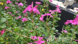 ̩���ʼҴ�ѧ��������