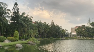 ̩�������ִ�ѧ��ѧѧ��