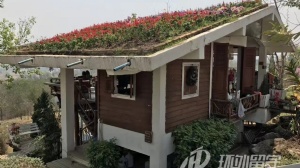 泰国东方大学排名