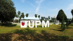 �������ǲ�������ѧѧ��