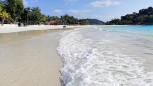 �������ǻ��ѧ˶ʿ��ѧ