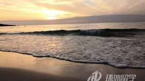 ̩���̻��ѧ�о�����ѧ