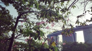 �¼����̿�רҵ��ѧ��Ҫ��