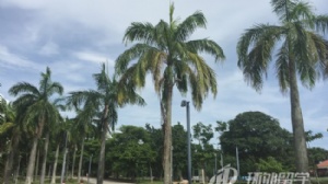 �¼�������ѧ��ѧһ�����