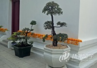 ̩���о�����ѧѧУ