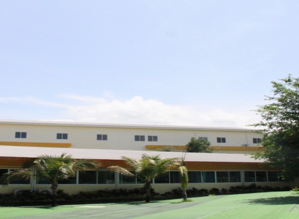 泰国香柏树国际学校
